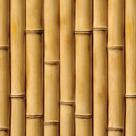 Papel de Parede Adesivo Textura Bambu - 001
