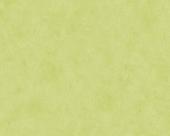 Papel de Parede Boys e Girls 6 688866 - Rolo: 10m x 0,53m