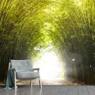 Papel de Parede Caminho Bambu Luz Paisagem Sala Adesivo - 090pcm