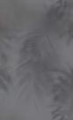 Papel de Parede Dimensions 219552 - Rolo: 10m x 0,53m