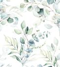 Papel de Parede Floral em Tons de Verde com Fundo Branco Ramos de Eucalipto para Sala Quarto 10 Metros