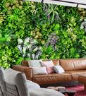 Papel de Parede Foto Mural Painel Folhas Jardim Vertical Autocolante Papel de Parede Foto Mural Painel Folhas Jardim Vertical Autocolante