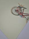 Papel de Parede Infantil Bicicleta Verde Claro Fantasy B580503