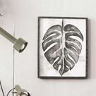 Papel de Parede Ivy Textura Branco 681110