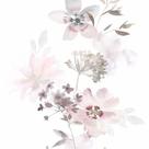 Papel de Parede Kylie Floral Rosa 81623