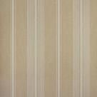 Papel de Parede Listrado Classic Stripes CT889020 Vinílico - Rolo: 10m x 0,53m