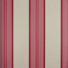 Papel de Parede Listrado Classic Stripes CT889041 Vinílico - Rolo: 10m x 0,53m