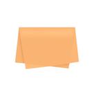 Papel de Seda - 50x70 - Bege Escuro - 10 unidades - Rizzo