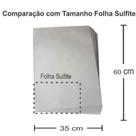 Papel Jornal Tapete Pet Biodegradável Limpo Absorvente 60x35 cm 200 unid