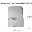 Papel Jornal Tapete Pet Limpo Absorvente Biodegradavel 60x35 cm 400unid