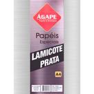 Papel Lamicote A4 250 Gramas c/ 25 Folhas - Ágape - PRATA