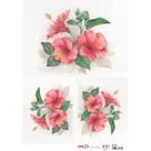 Papel para Decoupage OPAPEL 30x45 - Flor Hibisco