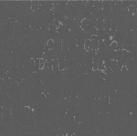 Papel Parede Urban Chic Letras 646220 - Rolo: 10m x 0,53m
