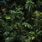 Papel Tapiz Autoadhesivo Tropical Verde Oscuro FunStick de Vinilo 44.5 cm x 3 m