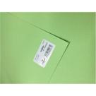 Papel vivaldi 185g Canson verde maçã 50X65cm Papel vivaldi 185g Canson verde maçã 50X65cm