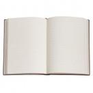 Paperblanks Evangeline Midi Capa Dura