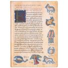Paperblanks Flexis Astronomica Midi Pautado