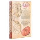 Paperblanks Lily & Tomato Mini Capa Flexível Pautado