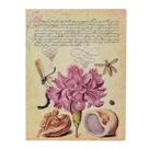 Paperblanks Pink Carnation Flexis Ultra Pautado FB9725-9