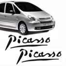 Par Adesivos Picass Citroën Xsara Emblema Lateral Resinado