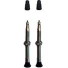 Par Bico Valvula Vittória Tubeless Singleway 40mm
