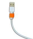 Par de Protetor Para Cabos Lightning iPhone