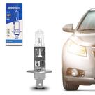 Par Lampada Shocklight Halogena Standart H1 12v 55w P14.5S