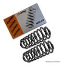 Par Molas Suspensão Dianteira Fiat Palio 96/00 Par Molas Suspensão Dianteira Fiat Palio 96/00