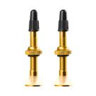 Par Válvula Bico Tubeless Absolute 48mm Dourado Alumínio
