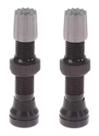 Par Válvula Tubeless Absolute Schrader Bico Grosso 40mm