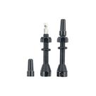 Par Válvula Tubeless Bike Bico Fino Presta Removível 48mm