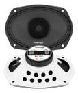 Par Woofer Full 7 Driver 6x9 FH 80D 40 Watts Rms - 4 Ohms