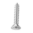 Parafuso 4,2x16 Inox 304 Auto Atarraxante Phillips 100 Unid