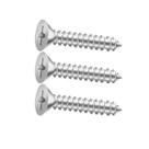Parafuso 4,2x16 Inox 304 Auto Atarraxante Phillips 300 Unid