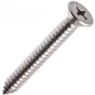 Parafuso Auto Atarraxante Inox Chata Philips Jomarca 4,8 X 50Mm
