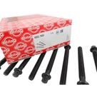 Parafuso Cabeçote Elring 802.760 BMW 318i, 316i - Cód.4473