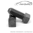 Parafuso Com Cabeca Quadrada 93299887 Auto Quality Onix prisma agile astra celta meriva Aqdv001