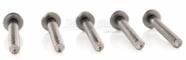 Parafuso D-One DLS3 Kit com 5 Un. p/ Tons, Surdo ou Caixa 55mm Comprimento semelhante Pearl T-061L/6