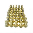 Parafuso De Latão Rg140 Rg170 845 865 Jg 30 Peças
