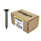 Parafuso Inox Auto Atarraxante Chata Phillips Stein