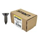 Parafuso Inox Auto Atarraxante Chata Phillips Stein