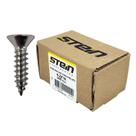 Parafuso Inox Auto Atarraxante Chata Phillips Stein