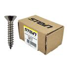 Parafuso Inox Auto Atarraxante Chata Phillips Stein
