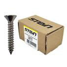 Parafuso Inox Auto Atarraxante Chata Phillips Stein