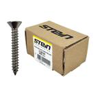 Parafuso Inox Auto Atarraxante Chata Phillips Stein