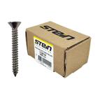 Parafuso Inox Auto Atarraxante Chata Phillips Stein