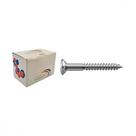 Parafuso Madeira Philips Nfix 2,8X 30 . / Kit C/ 5 Centos