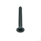 Parafuso Philips 5,5x50 Atarraxante Cabeça Chata Inox 100Uni
