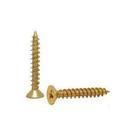Parafuso philips chata 10 unidades - 40 x 22 Parafuso philips chata 10 unidades - 40 x 22