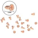 Parafuso Phillips Cabeça Chata 6,5x2,2mm - 20 Unidades Parafuso Phillips Cabeça Chata 6,5x2,2mm - 20 Unidades